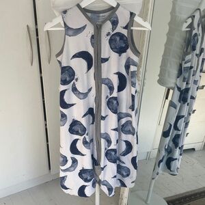 Burt's Bees Blue and Gray Moon Print Dress